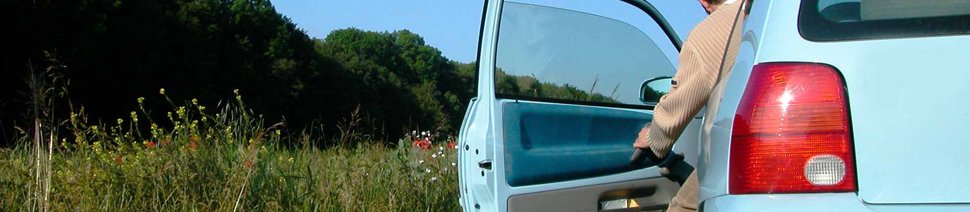 [Illustration: Fahrzeug vor Wiese]